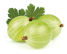 крыжовник
