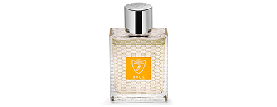 Urus Lamborghini: жажда скорости