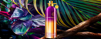 Montale: доверять инстинктам