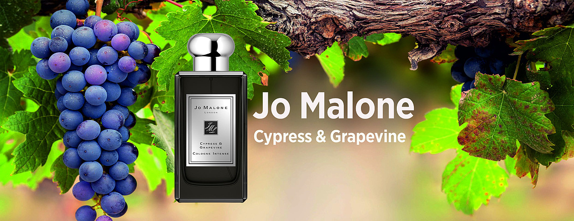 Jo Malone Cypress & Grapevine - Статный кипарис и сладкий виноград