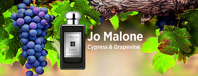 Jo Malone Cypress & Grapevine - Статный кипарис и сладкий виноград