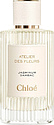 Chloe Jasminum Sambac